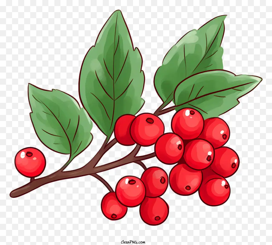 Planta De Berry Vermelha，Arbusto Com Bagas PNG