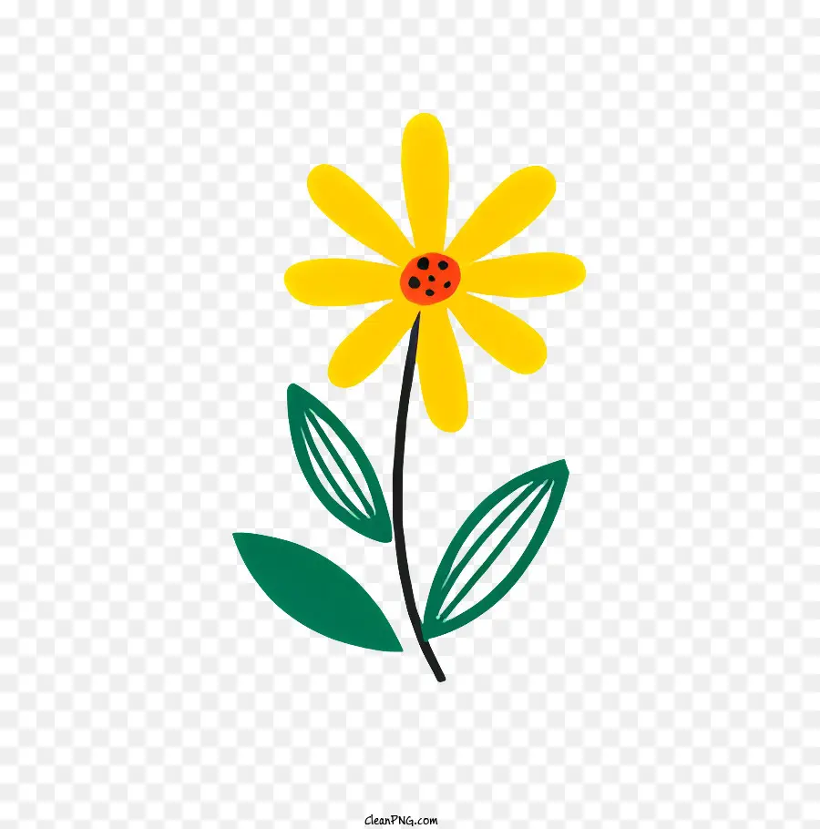 Amarelo Daisy，Daisy Com Folhas Verdes PNG