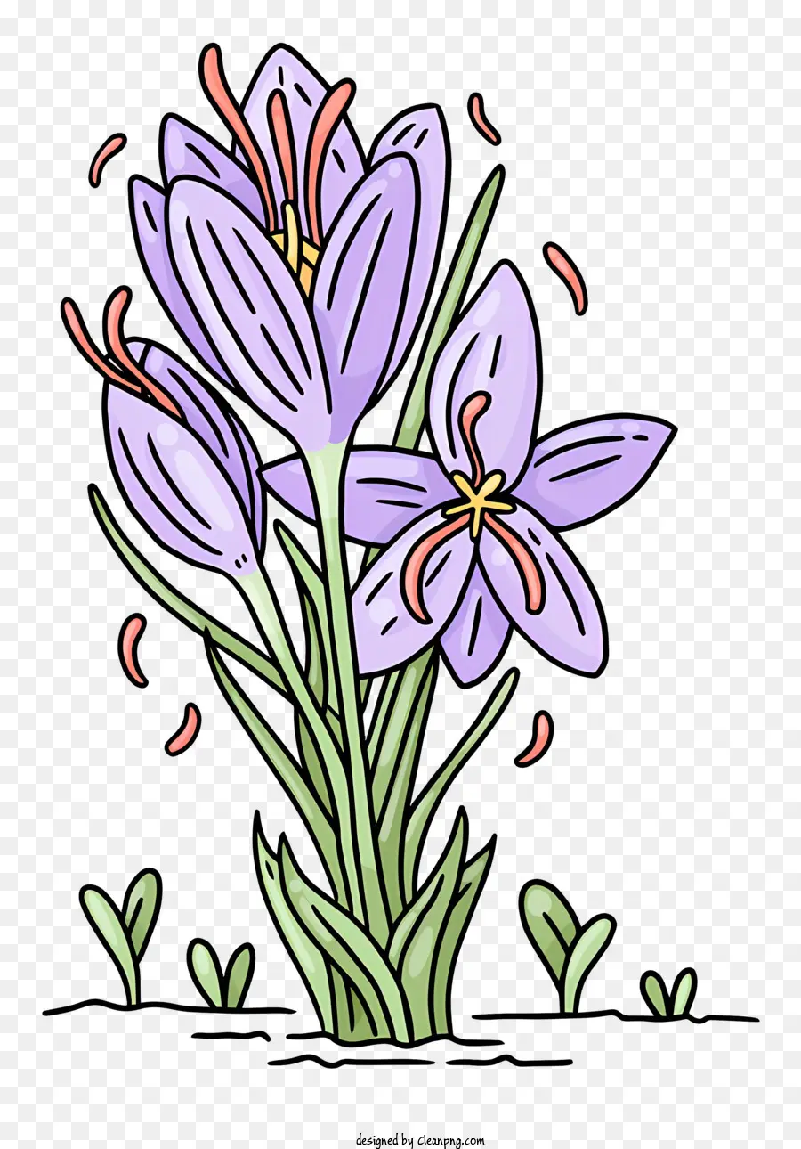 Roxo Crocus，Flor PNG