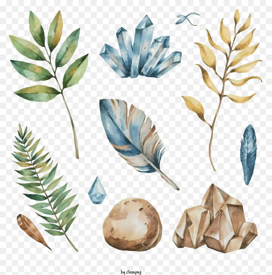 Ilustrações Em Aquarela，Plantas E Minerais PNG