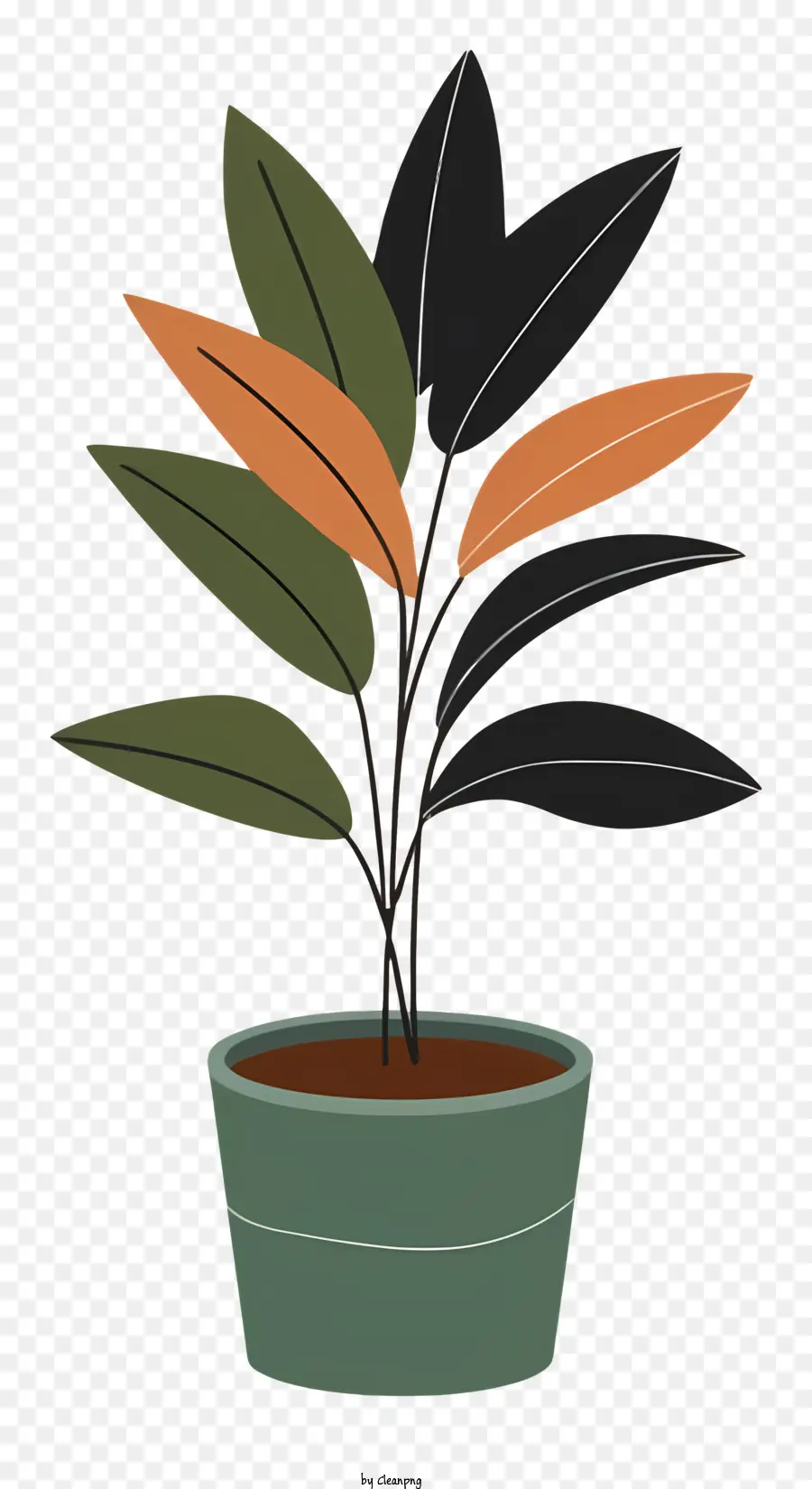 Pequena Planta Em Vasos，Cuidado Em Vasos De Plantas PNG