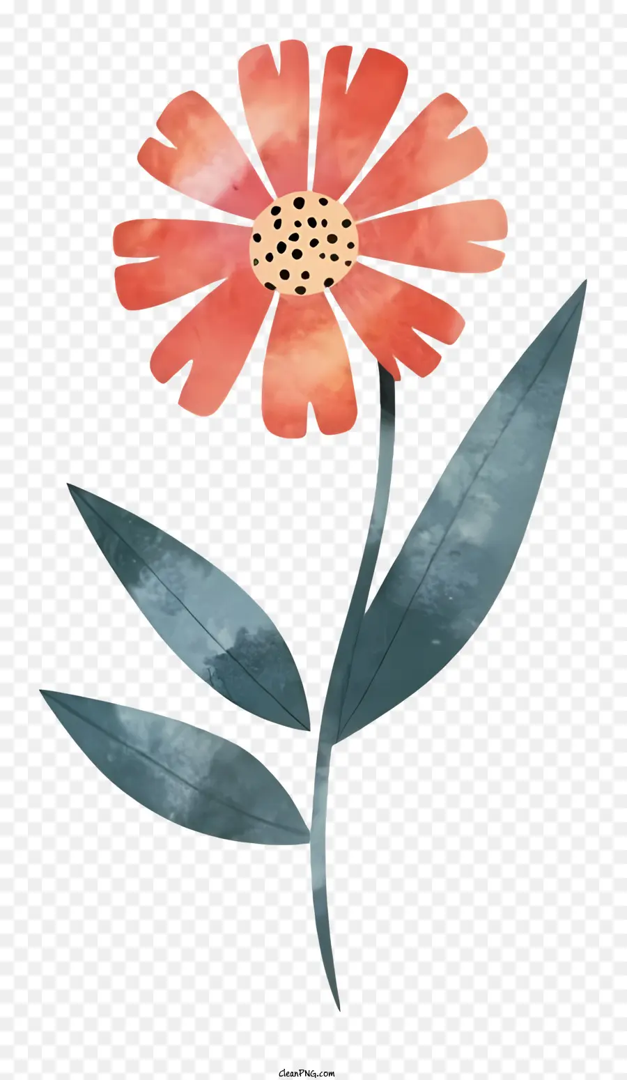 Flor，Desenho PNG