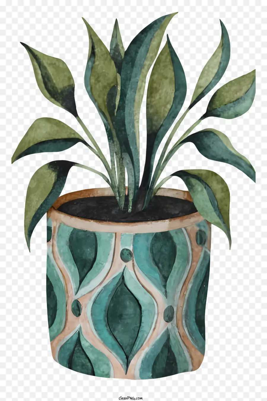 Plantador，Plantas Verdes PNG