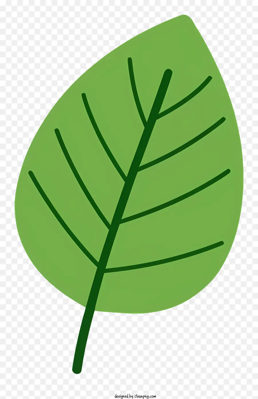 Folha Verde，Folha PNG