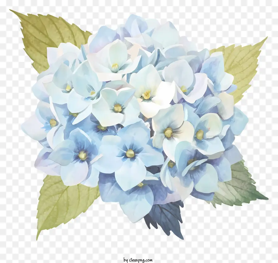 Flor De Hidrante，Flor Azul PNG