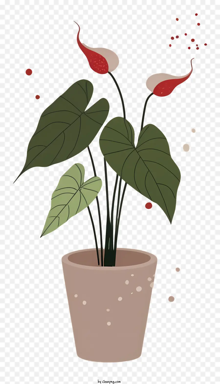 Planta Em Vaso，Pote PNG