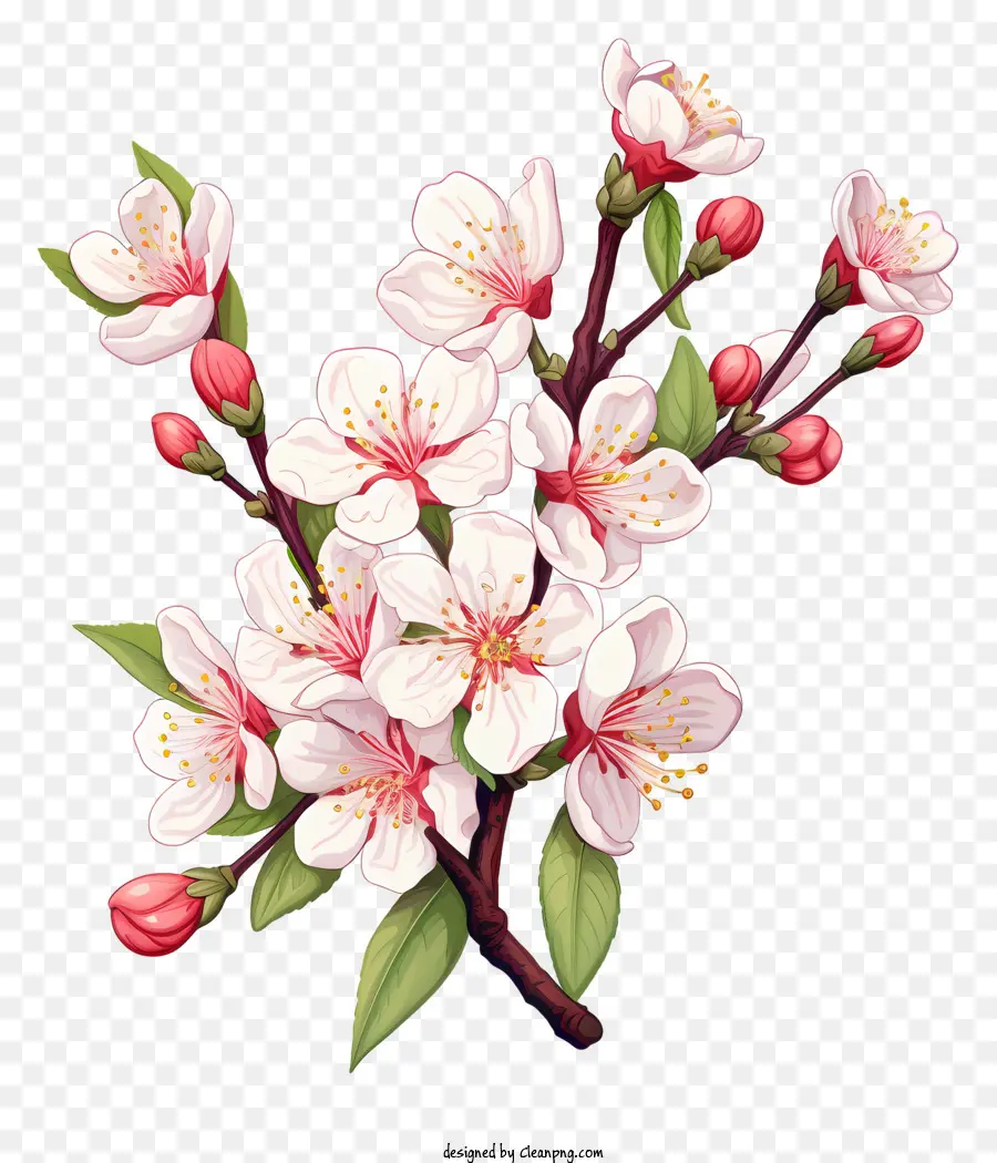 Flores Da Primavera，Flores PNG