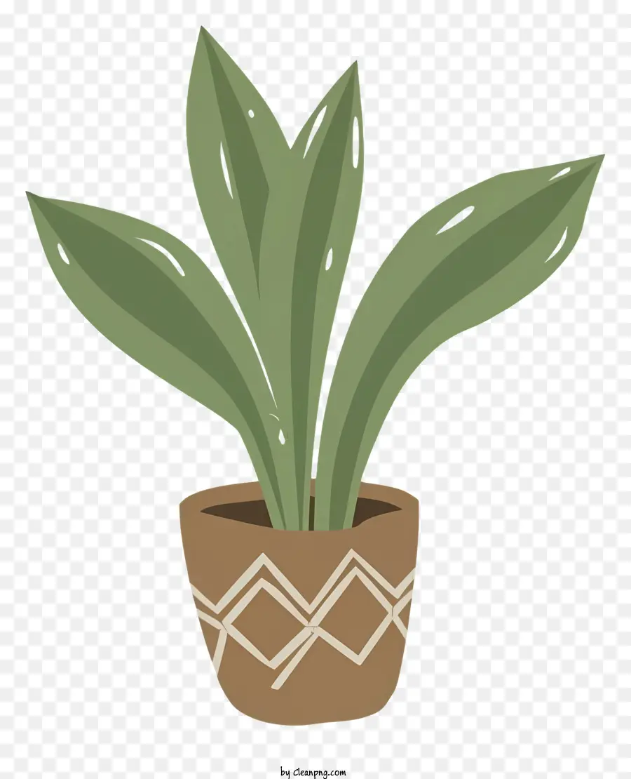 Planta De Vaso，Desenho Geométrico PNG