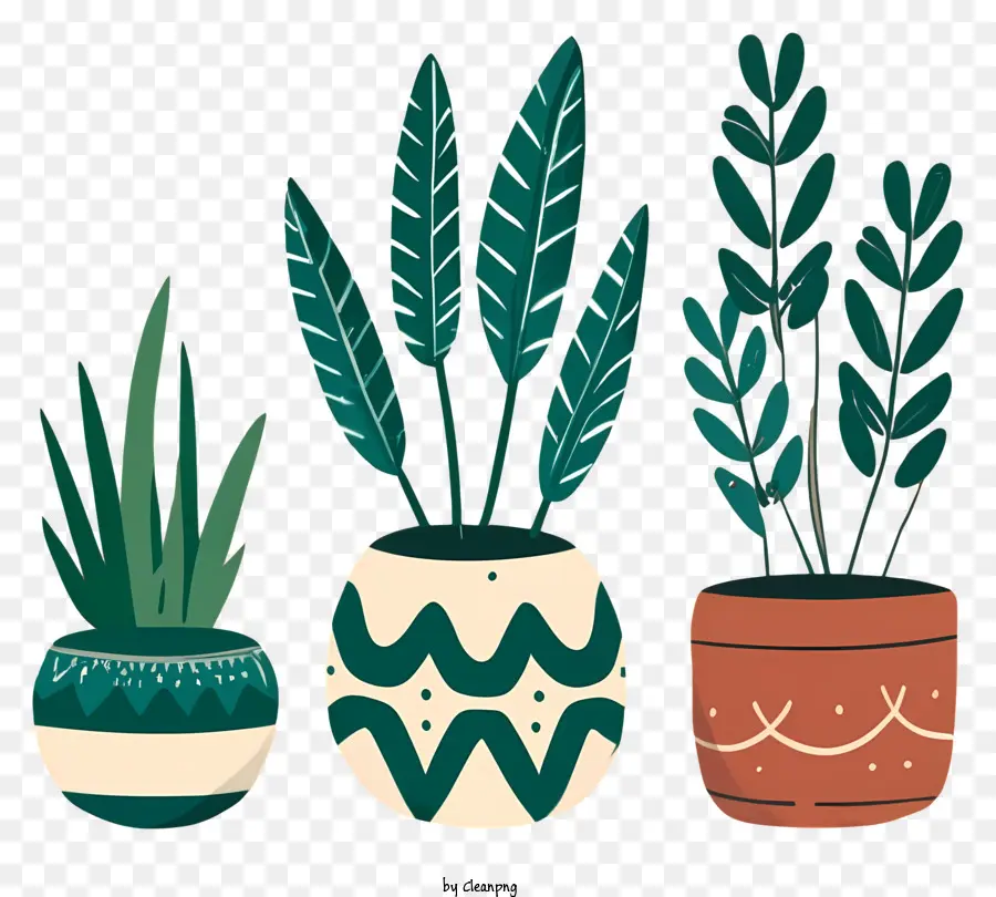 Vasos De Plantas，Planta Listrada PNG