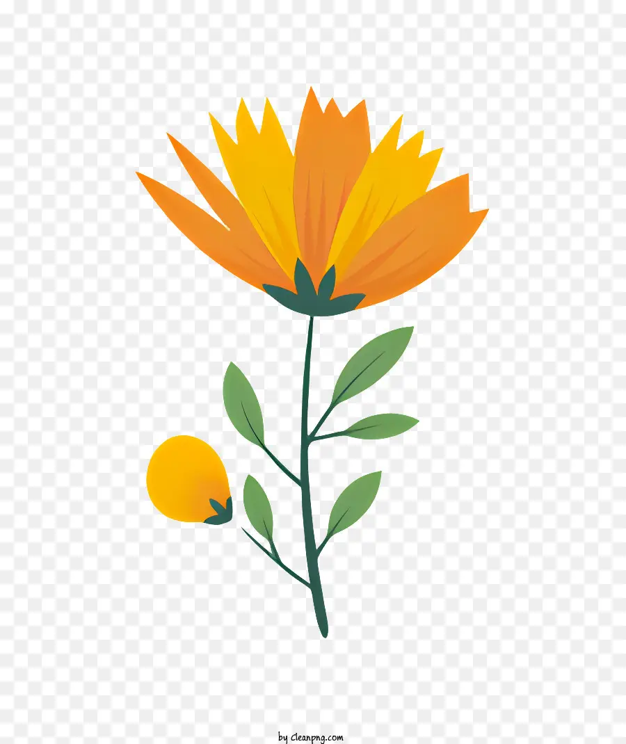 Flor Da Laranja，Folhas Verdes PNG