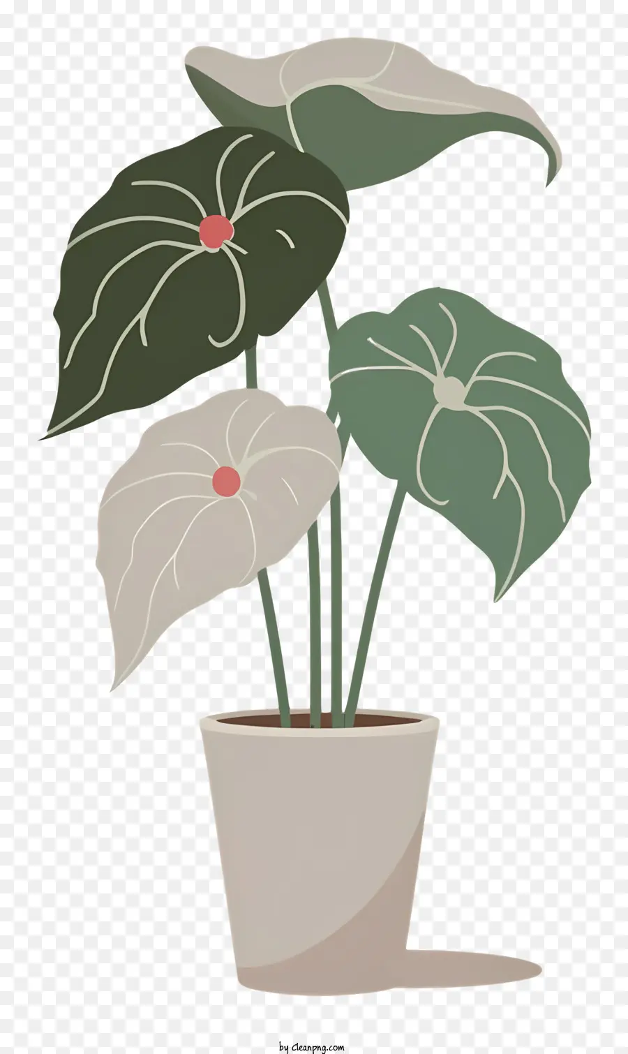 Plantar，Planta Em Vaso PNG