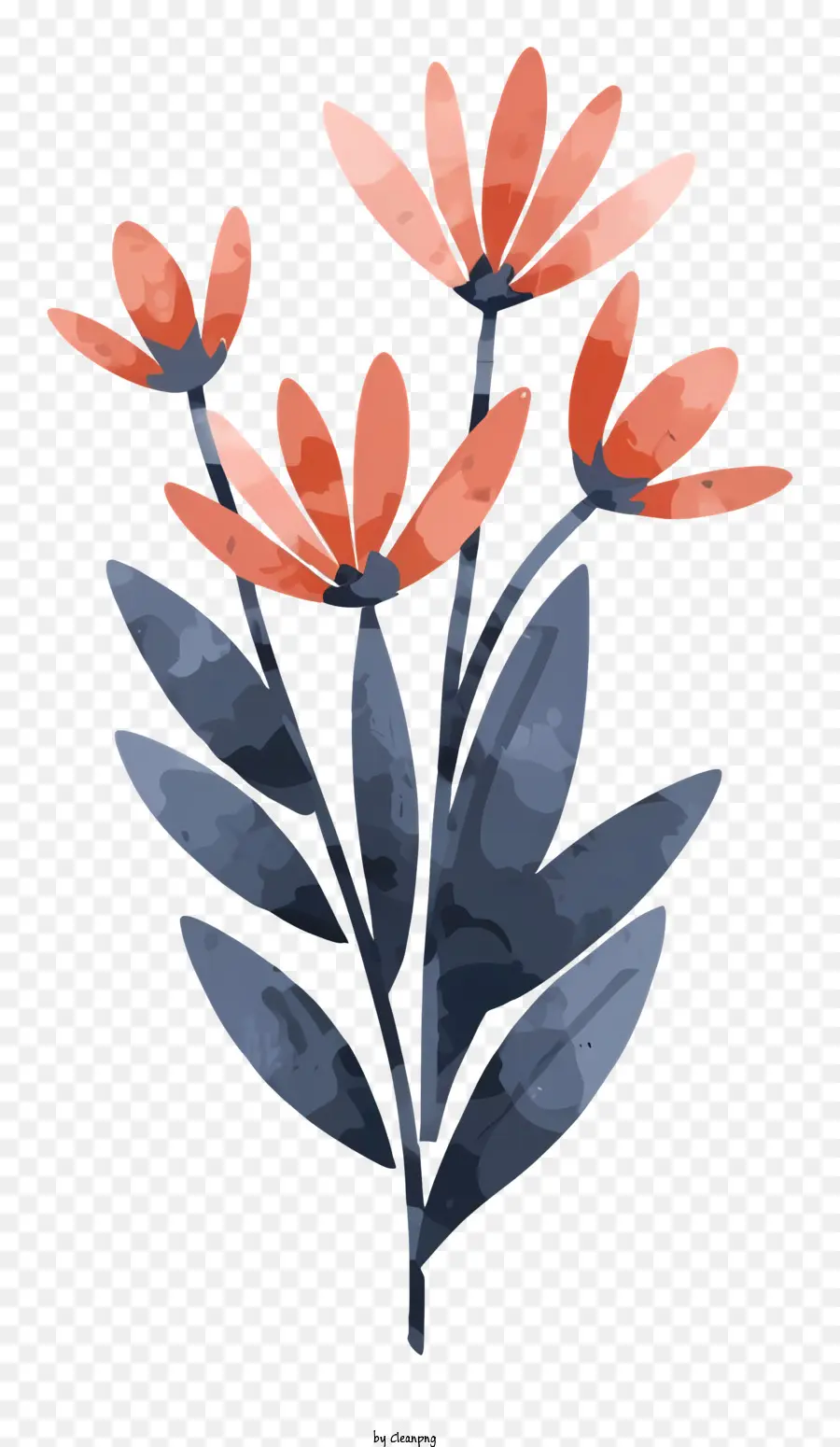 Flor，Botânico PNG