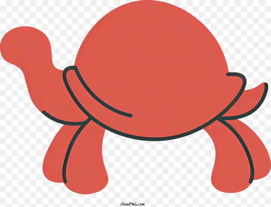 Cartoon Tartaruga，Turtle PNG