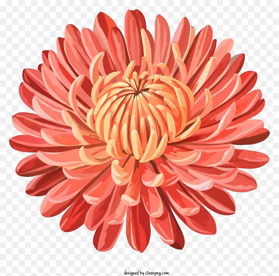 Flor De Crisântemo，Arranjos Florais PNG