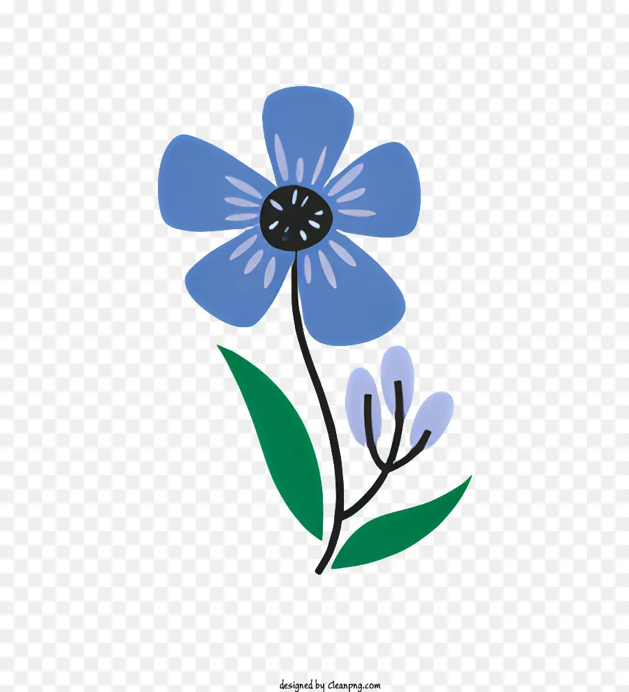 Flor Azul，A Delicadeza Da Flor PNG