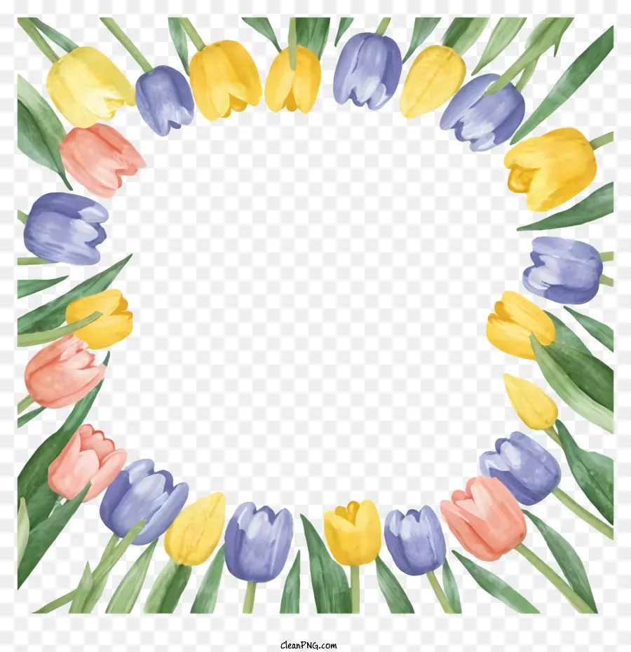 Coloridas Tulipas，Tulipas Amarelas PNG