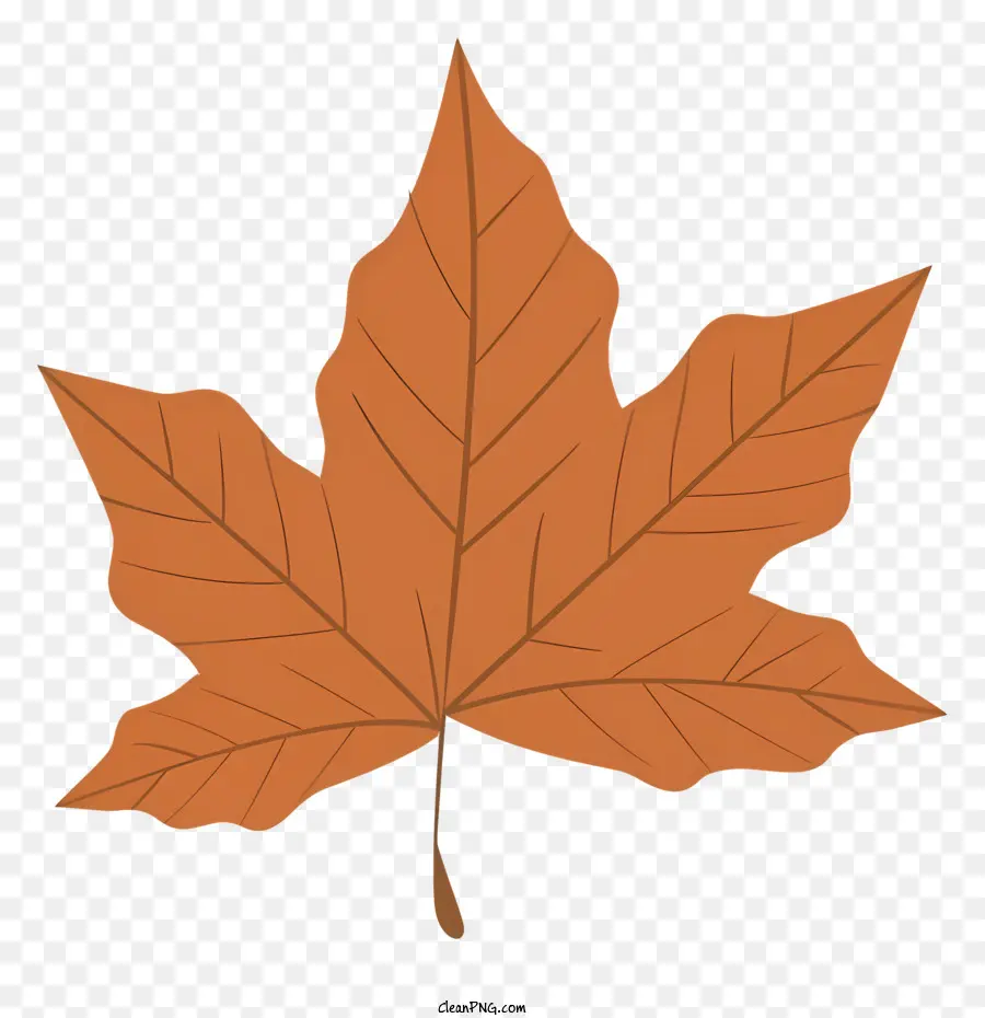 Maple Leaf，Marrom Folha PNG