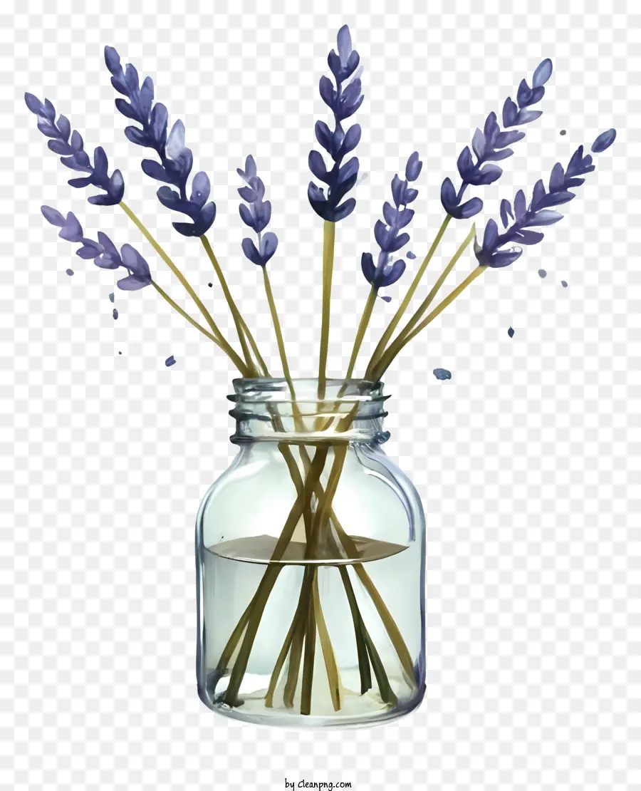 Frasco De Lavanda，Lavanda PNG