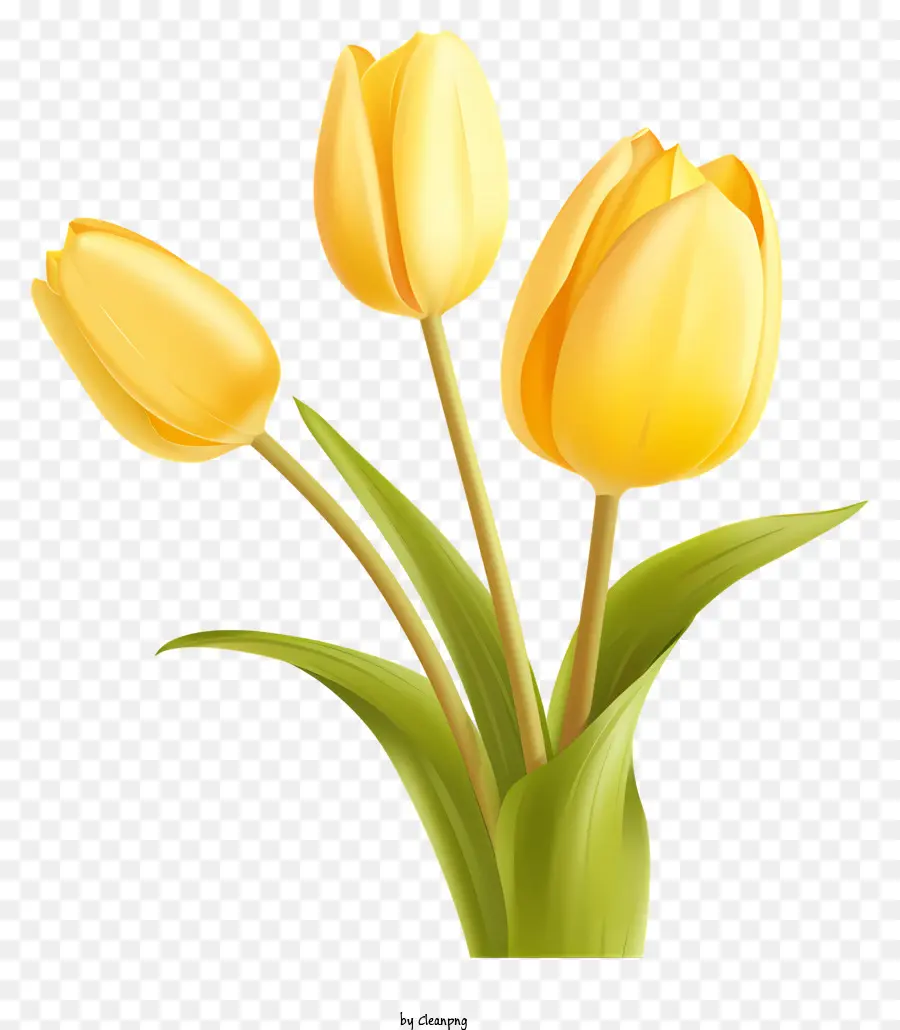 Tulipas Amarelas，Vaso PNG