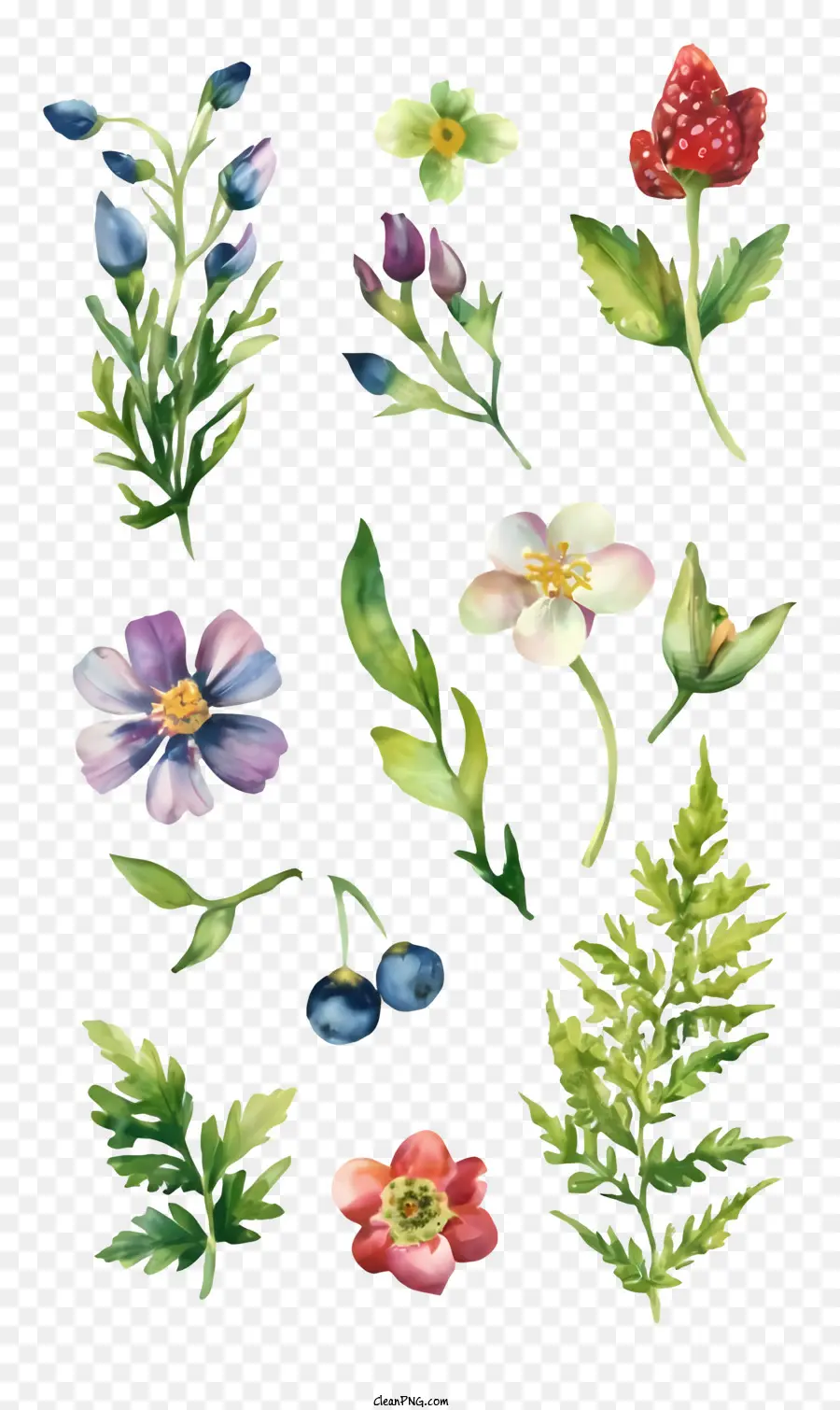 Aquarela Flores，Ilustrações Em Aquarela PNG