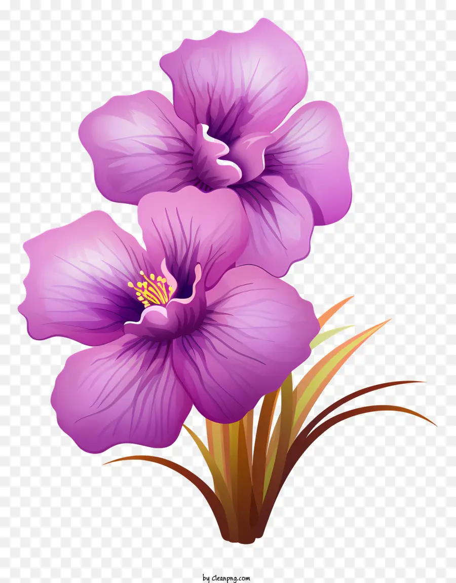 Flores Cor De Rosa，Hastes Longas PNG