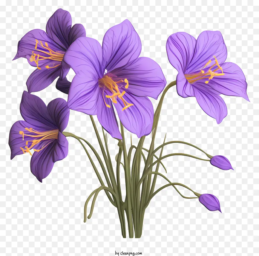 Flor Roxa，Florescer PNG