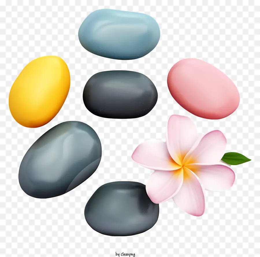 Pedras Polidas，Flor Rosa PNG