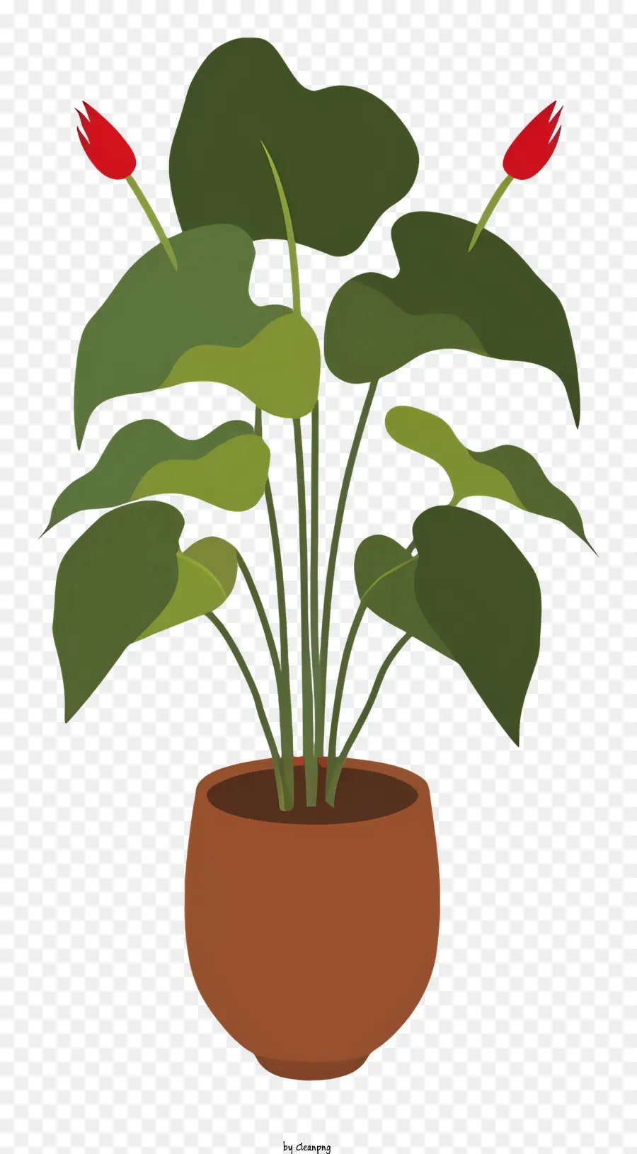 Planta，Pote PNG