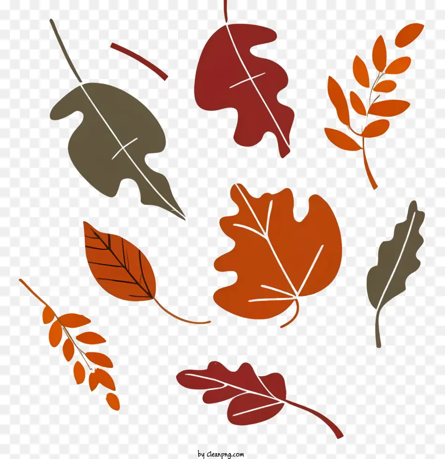 Autumn Leaves，Folhas De Outono PNG