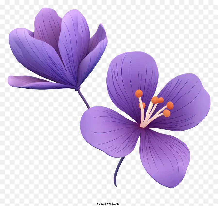 Flores，Pétalas Roxas PNG