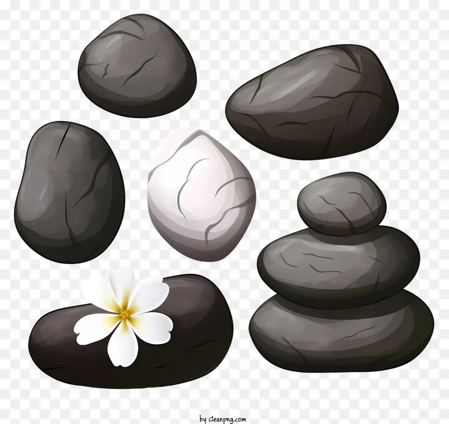 Pedras，Flor Branca PNG