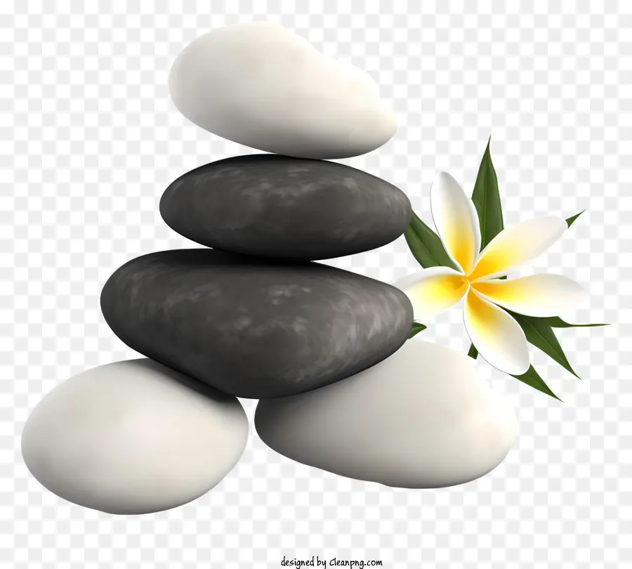 Pedras Brancas，Flor Branca PNG