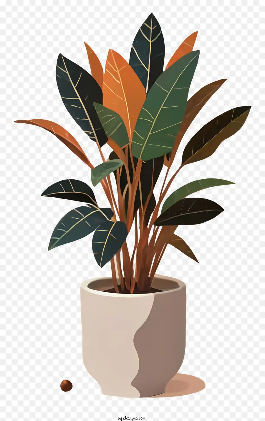 Planta Em Vaso Branco，Folhas Coloridas PNG