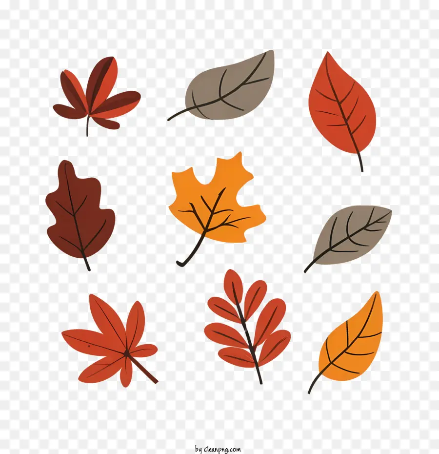 Autumn Leaves，Folhas De Outono PNG