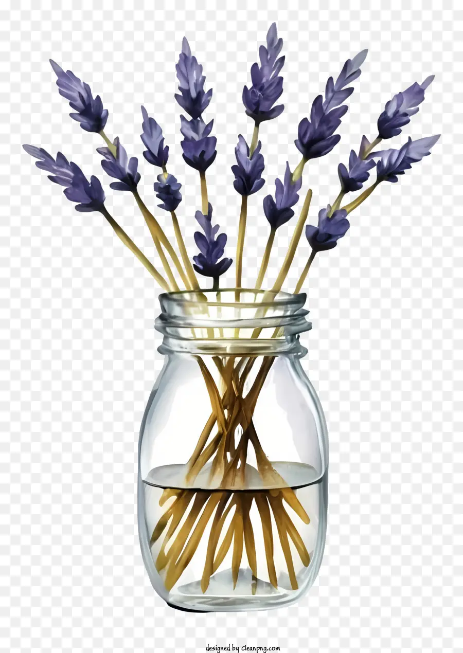 Palitos De Lavanda，Jarra De Vidro Com Lavanda PNG