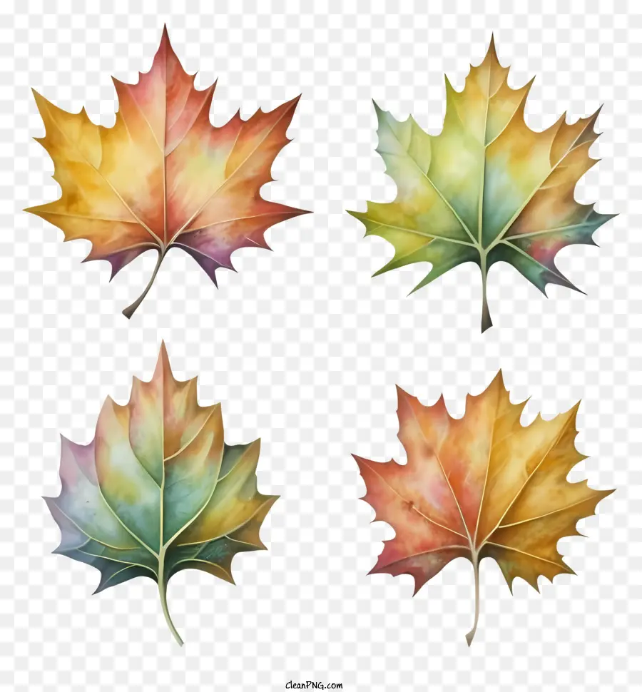 Autumn Leaves，Queda Paisagem PNG