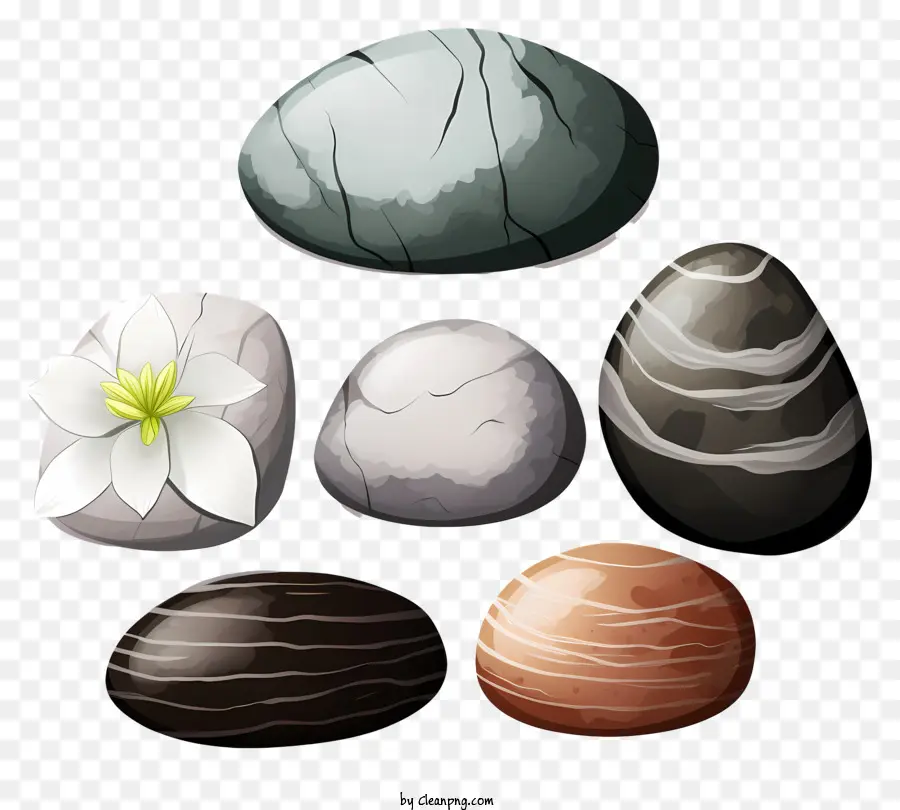 Pedras Com Flor Branca，Imagem Natural E Realista PNG