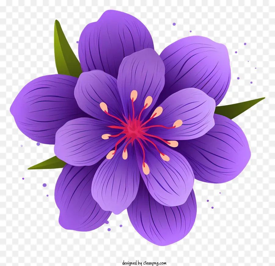 Flor Roxa，Black Background PNG