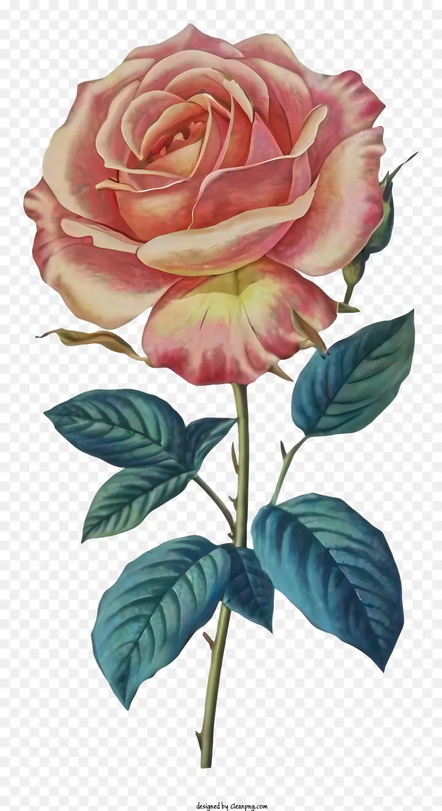 Pintura，Rosa Vermelha PNG