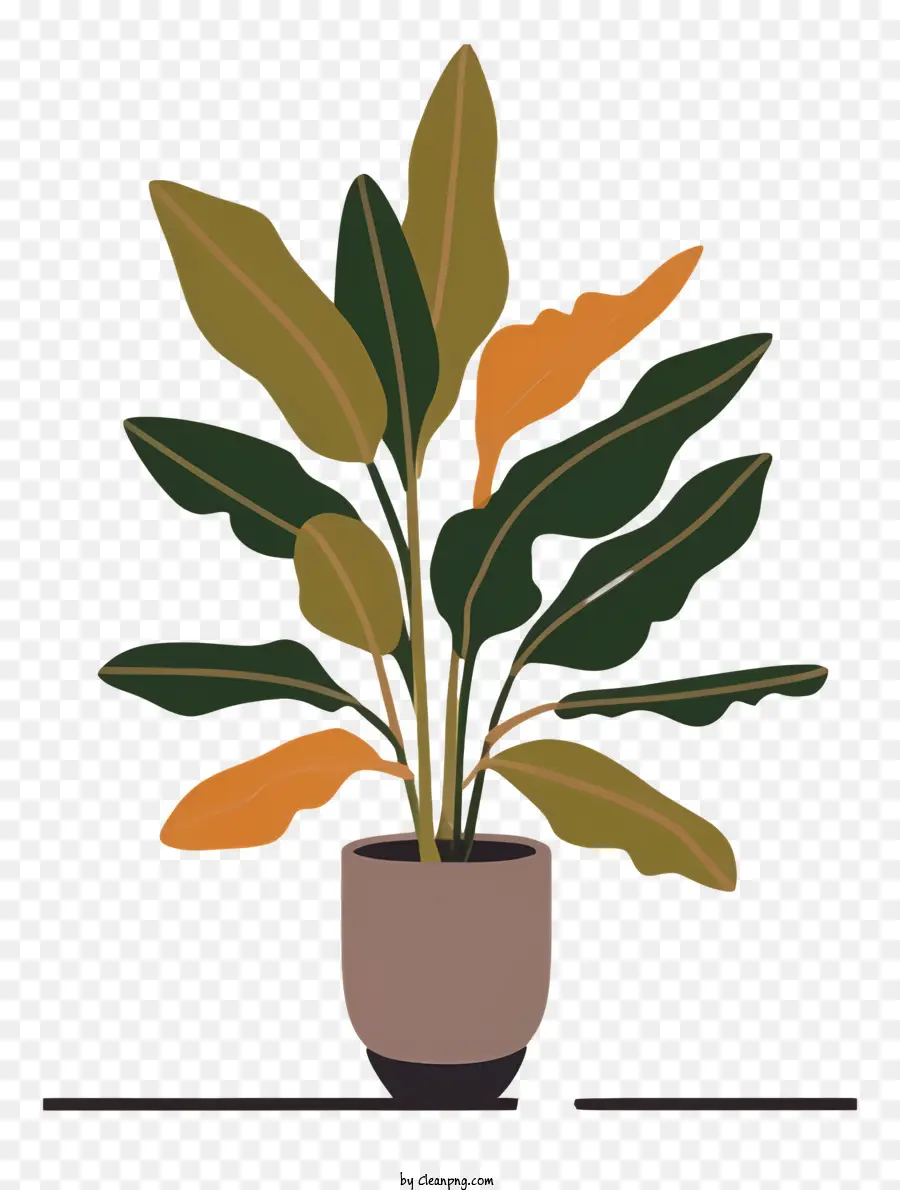 Planta Em Vaso，Folhas PNG