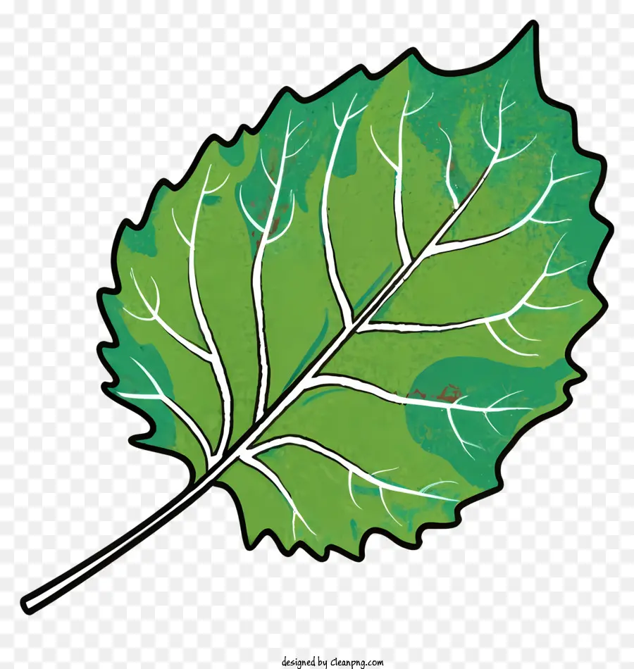 Folha Verde，Veias PNG