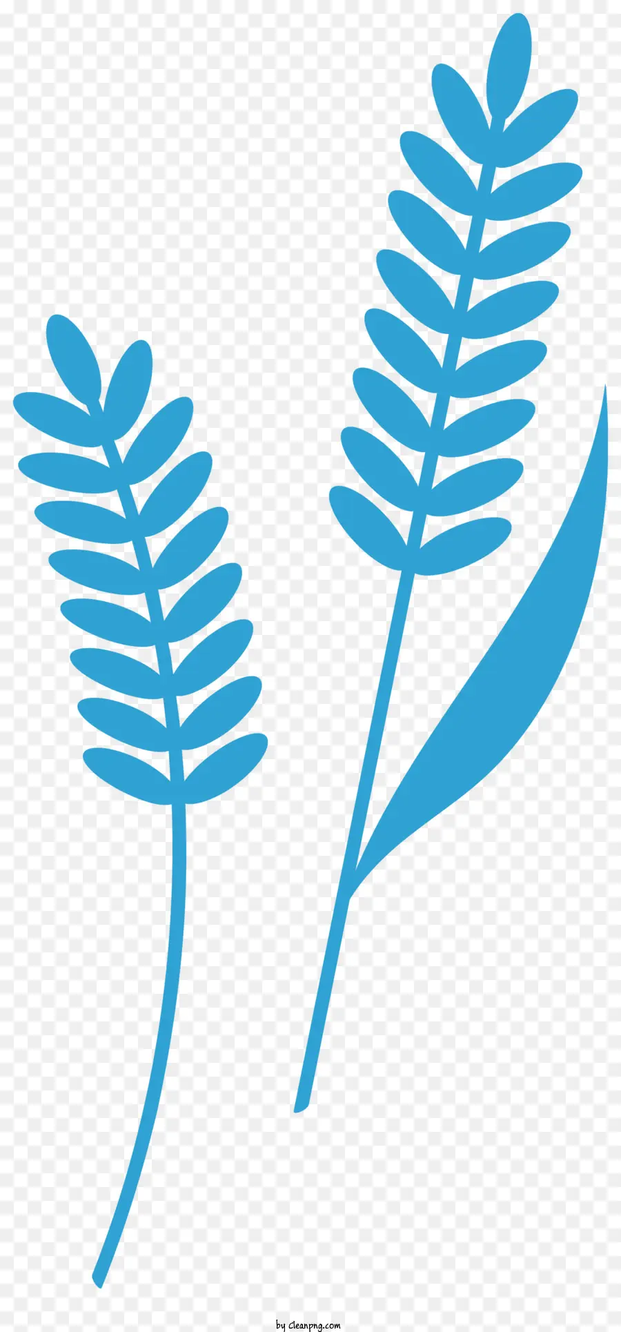 A Identificação De Plantas，Azul Planta PNG