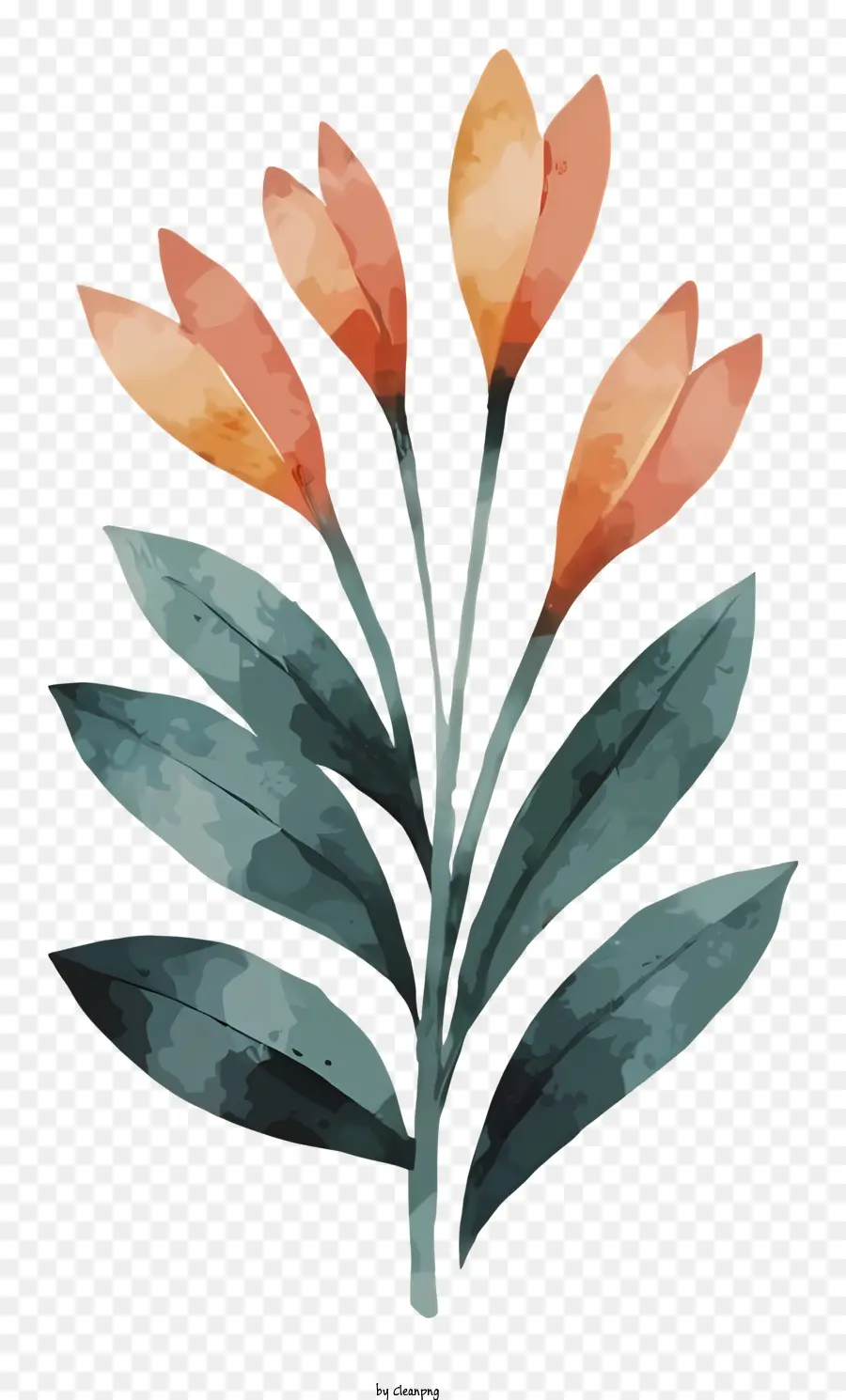 Ilustração Em Aquarela，Flor PNG