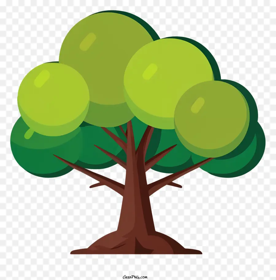 árvore，Folhas Verdes PNG