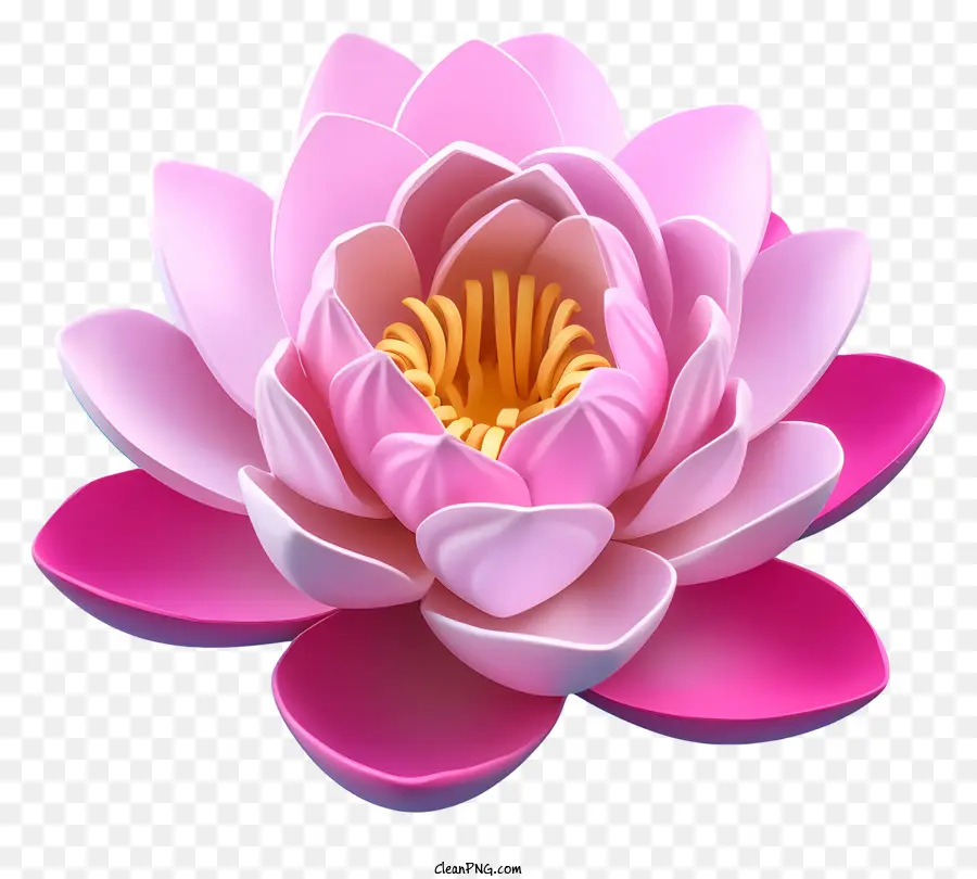 Flor De Lótus，Cor De Rosa Lotus PNG
