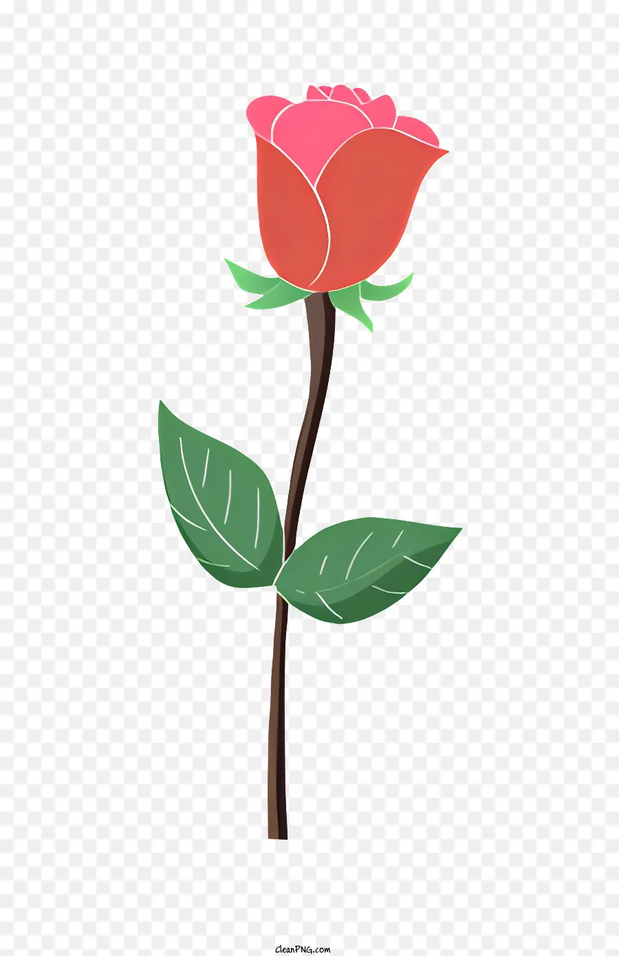 Rosa Cor De Rosa，Folhas Verdes PNG