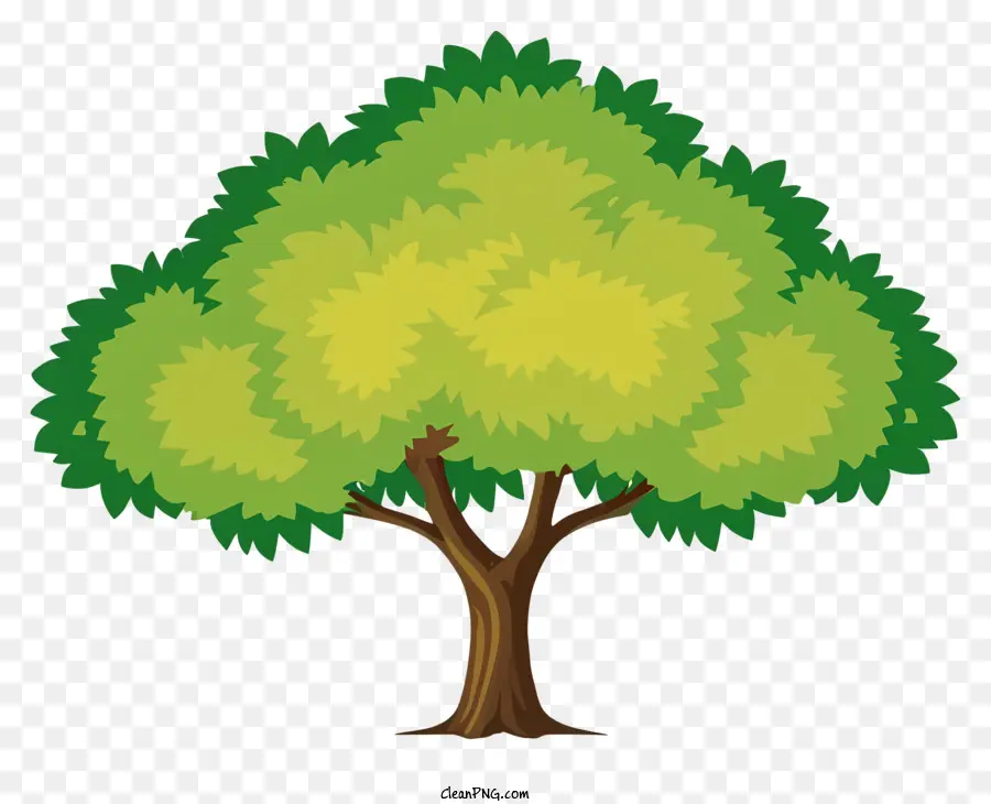 árvore，Folhas Verdes Exuberantes PNG