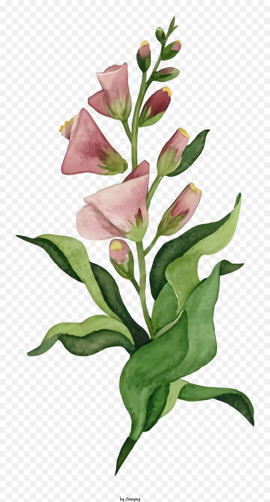 Flor De Desenho，Folhas Verdes PNG