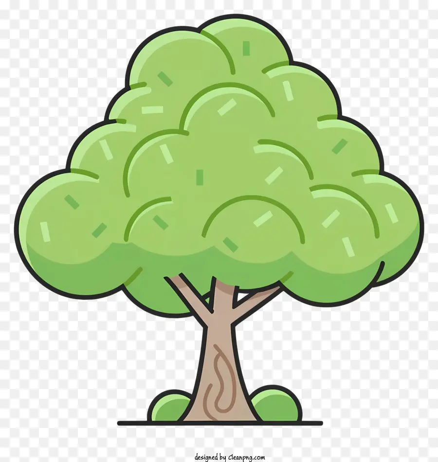 árvore Verde，Tronco Liso PNG