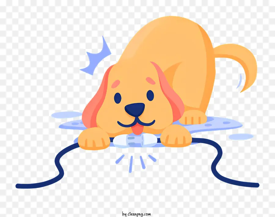 Cachorro Fofo，Cachorro PNG